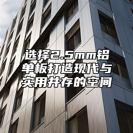 選擇2.5mm鋁單板打造現(xiàn)代與實用并存的空間